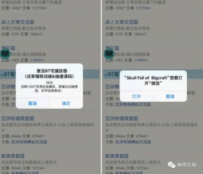 色情擦边球的网站运营_色情擦边球的网站运营_色情擦边球的网站运营