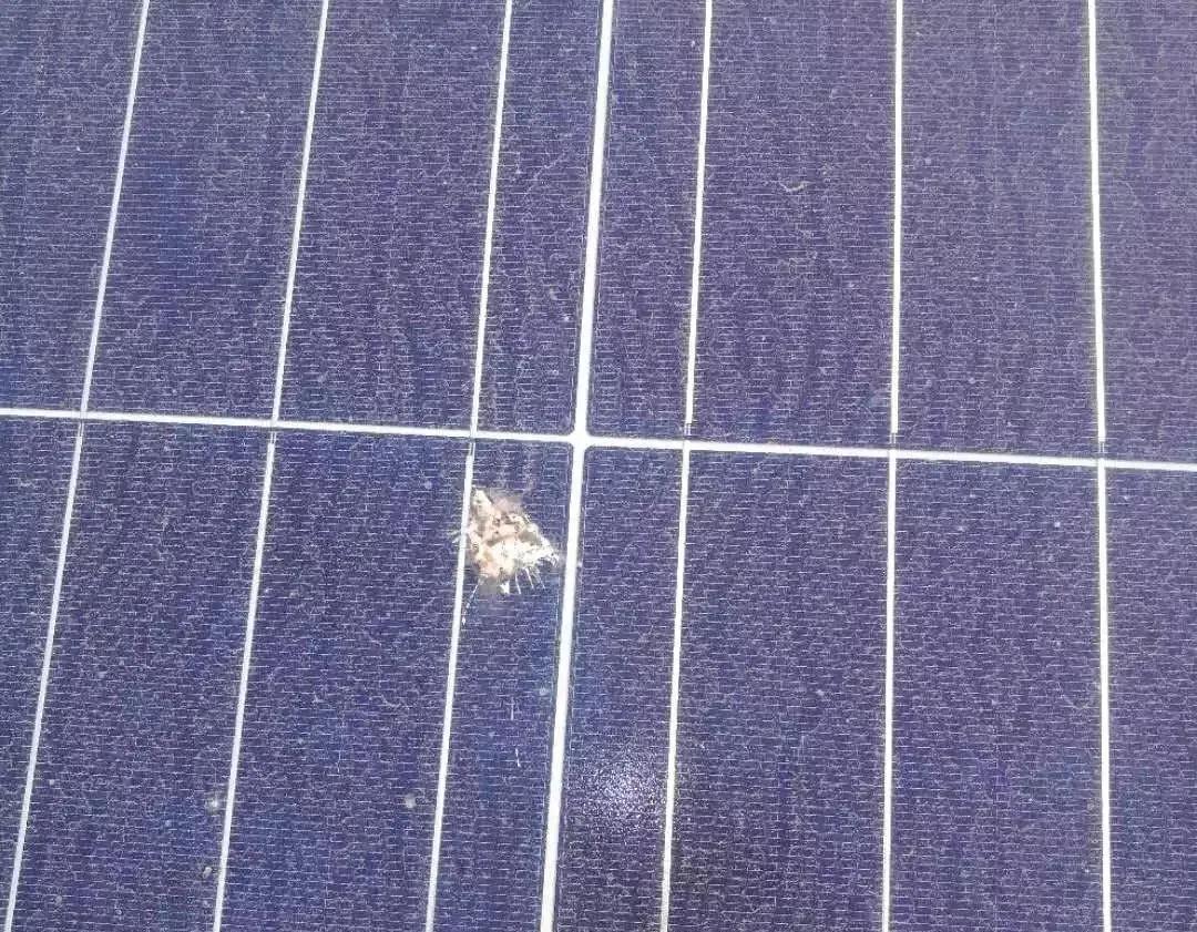 光伏运维管理师证书_光伏运维管理师证书有用吗_光伏运维管理