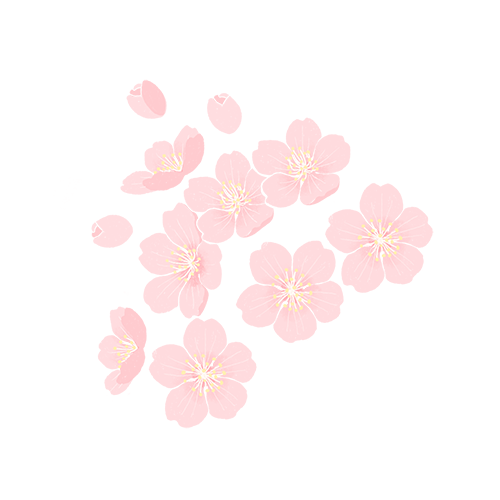 电子商务运营方案设计_电子商务网站运营计划方案_商务网站运营策划书