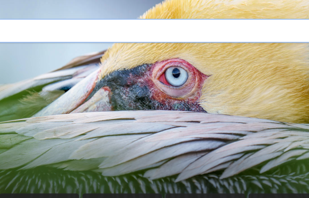 前沿: 在大语言模型LLM下制定计量议题和实证框架这块, 美国这次又走在了学术界前面！-JieYingAI捷鹰AI