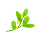 网站运营与管理·电子商务_电子商务网络运营_电子商务网站运营是干什么的