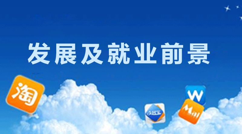 电子商务网络运营_网站运营与管理·电子商务_电子商务网站运营是干什么的