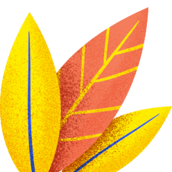 电子商务网络运营_电子商务网站运营是干什么的_网站运营与管理·电子商务