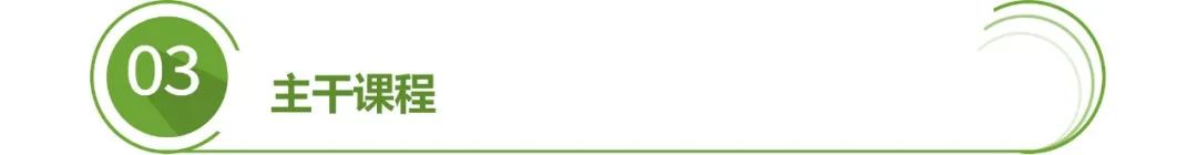 网站运营与管理·电子商务_电子商务网站运营是干什么的_电子商务网站运营模式