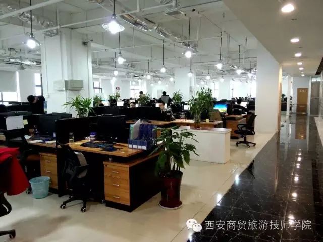 电子商务网络运营_网站运营与管理·电子商务_电子商务网站运营模式