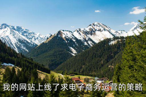 我的网站上线了求电子商务运营的策略