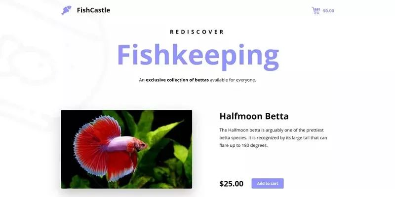 前端开发基础教程_前端开发教程_前端开发教程