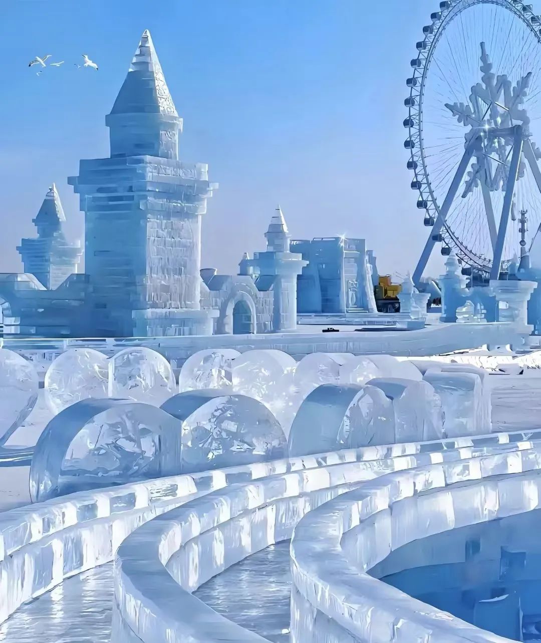 哈尔滨seo全网营销_哈尔滨营销策划_哈尔滨营销型网站