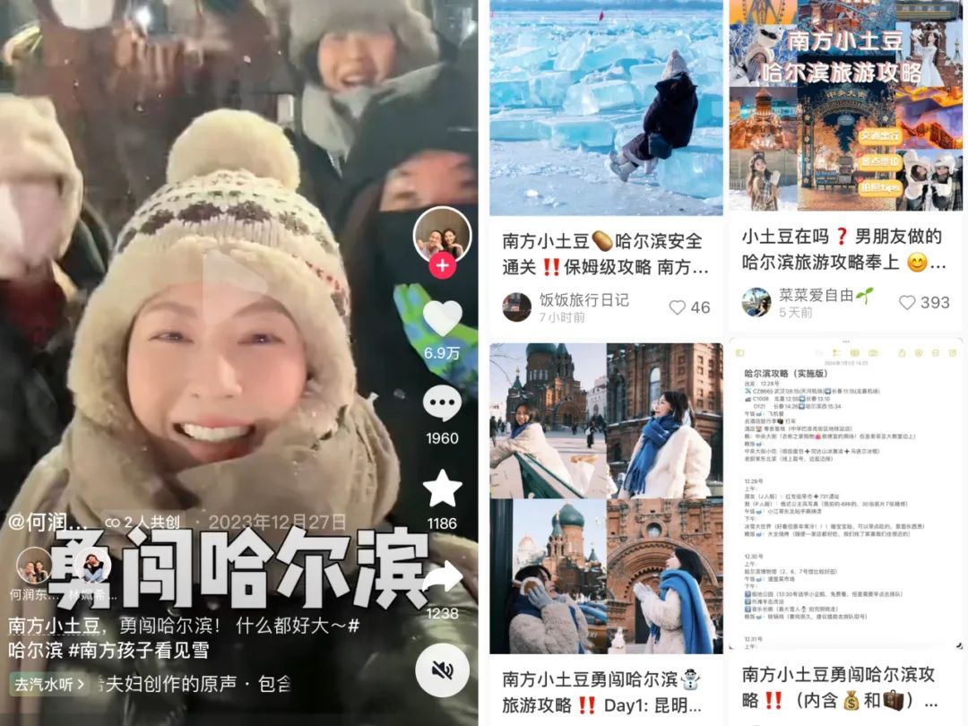 哈尔滨营销型网站_哈尔滨营销策划_哈尔滨营销策划公司排名