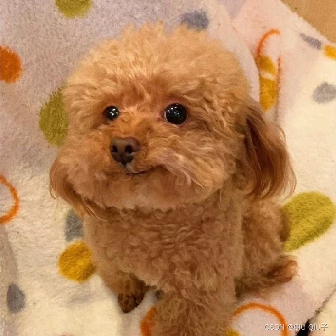 数据中心运维管理方案-JieYingAI捷鹰AI