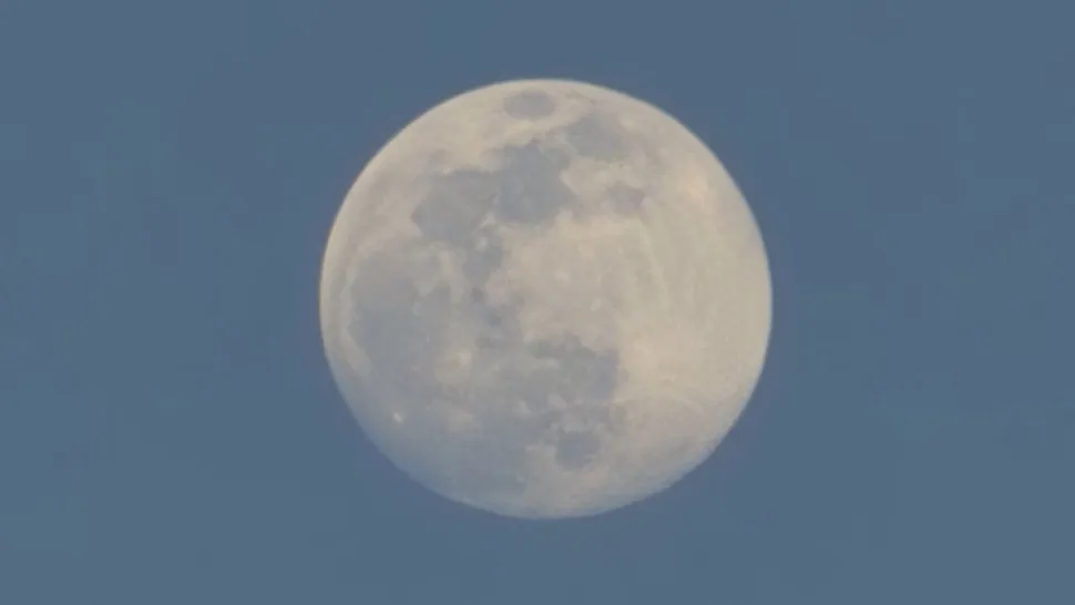 前端开发APP的用技术_app前端开发_前端开发APP工具