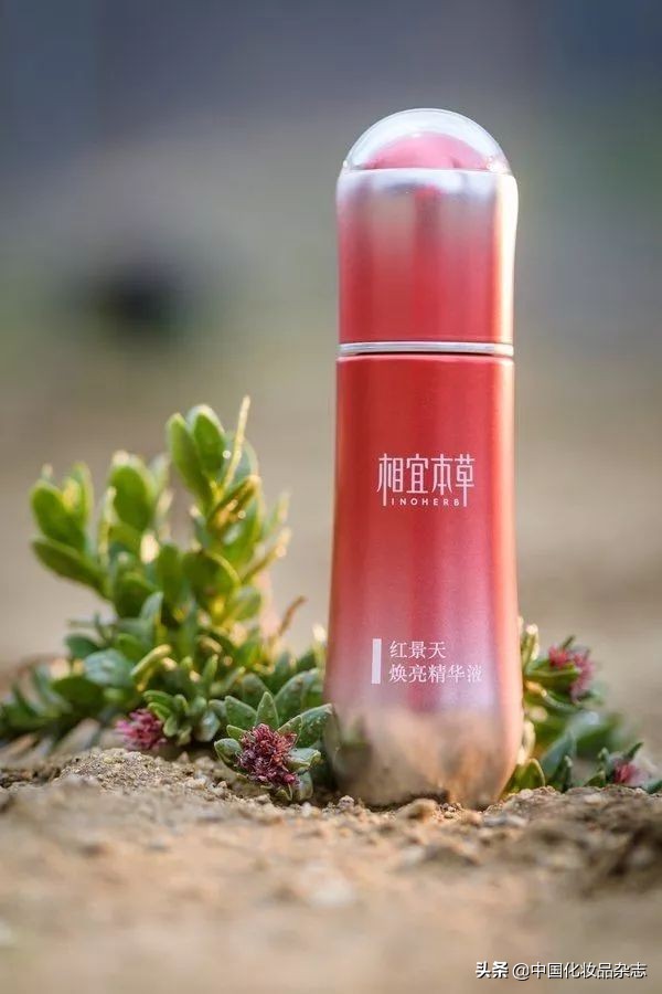 化妆品营销型网站_化妆品品牌的网络营销分析_浅析化妆品行业的网络营销策略