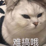 开发一个微信小程序到底有多难？-JieYingAI捷鹰AI