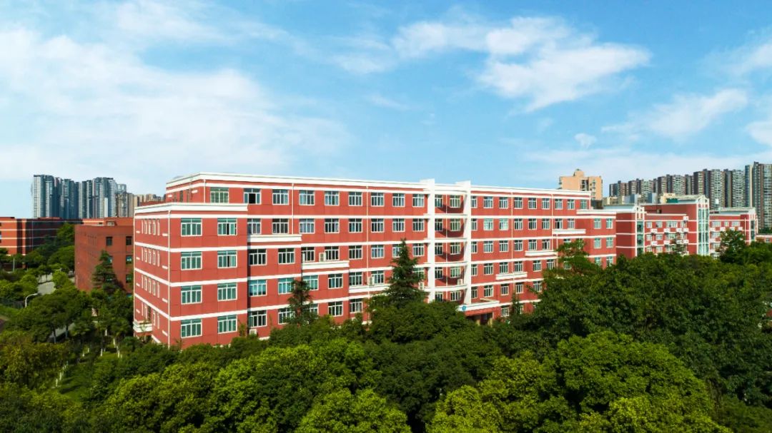 网站的运营管理_网站运营管理办法_网站运营与管理