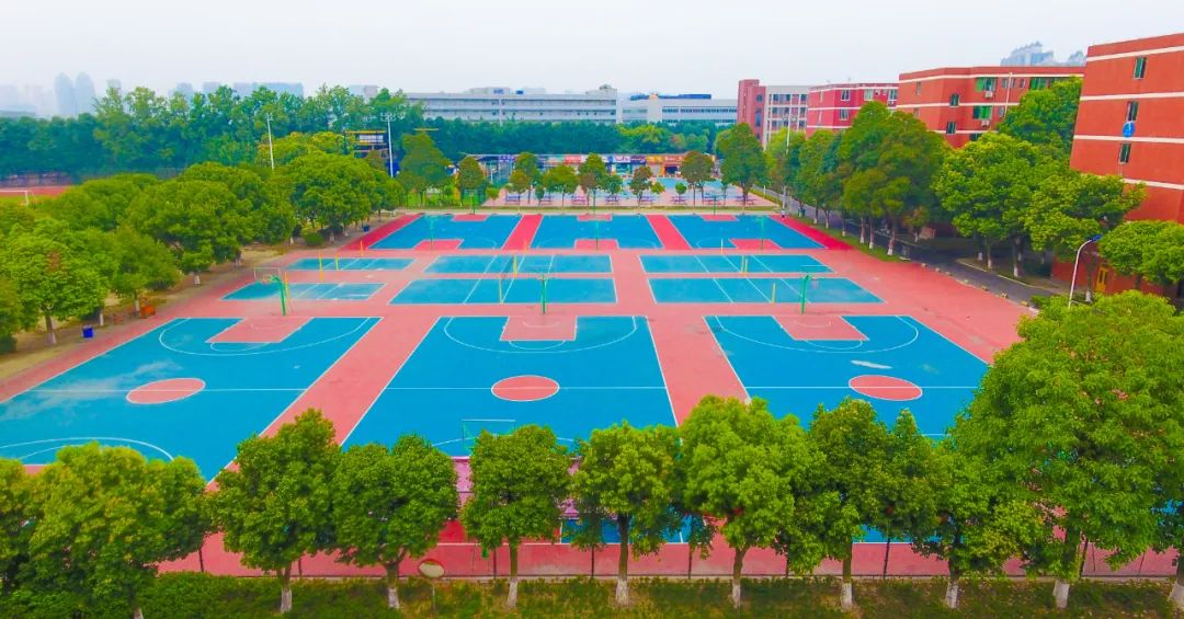 网站运营管理办法_网站的运营管理_网站运营与管理