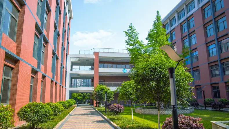 网站运营与管理_网站运营管理办法_网站的运营管理