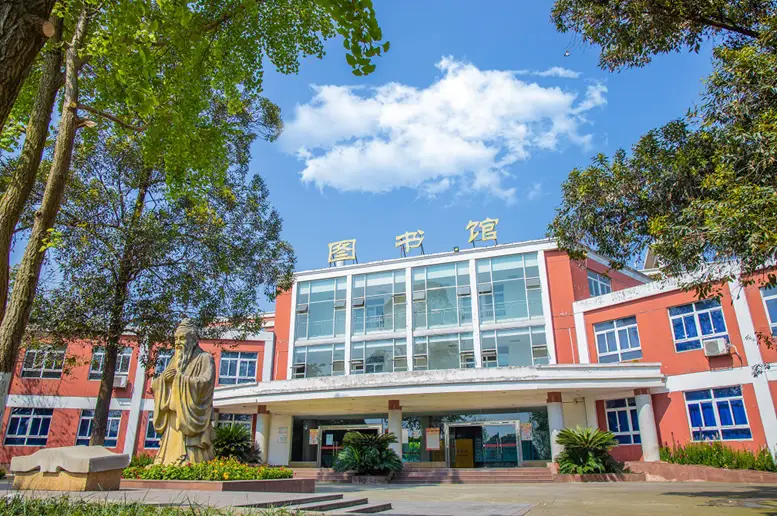 网站运营管理办法_网站运营与管理_网站的运营管理