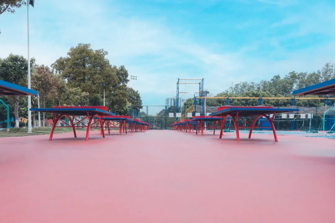 网站运营管理办法_网站运营与管理_网站的运营管理