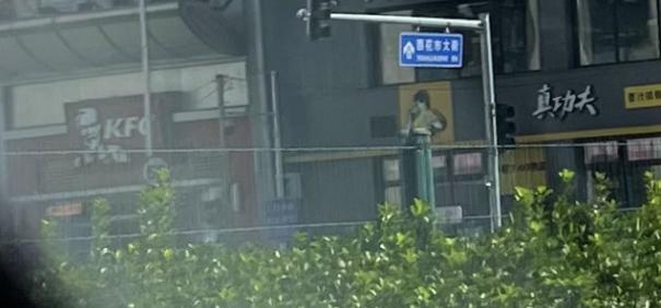 叶茂中策划案例_叶茂中营销策划机构网站_叶茂中策划如何收费