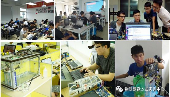 招聘 web前端开发_前端开发招聘网站_web前端开发招聘要求