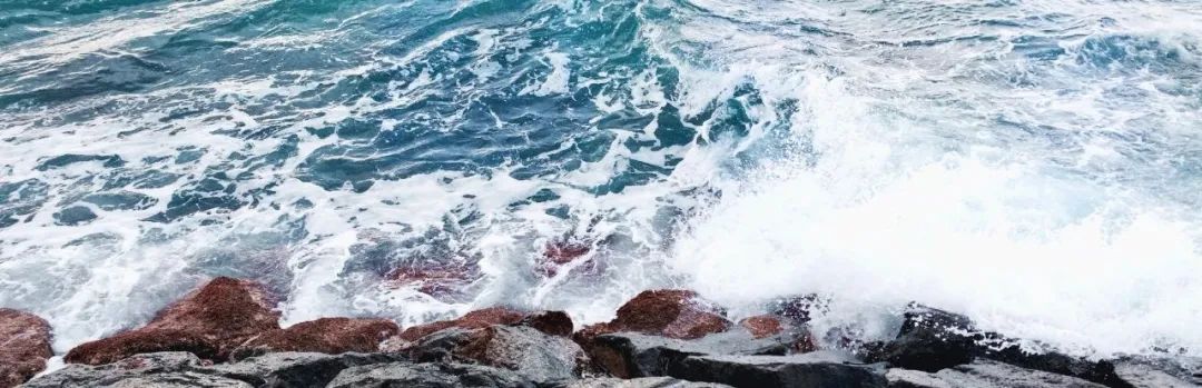 网站策划与运营考试题_网站运营策划试题_网站运营策划实训