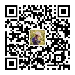 当deepseek、豆包、文心一言、通义千问参加《AI101选秀》-JieYingAI捷鹰AI