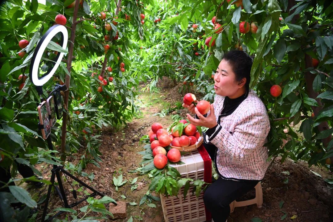 电子商务网站运营模式_电子商务运营平台_个人电子商务网站运营