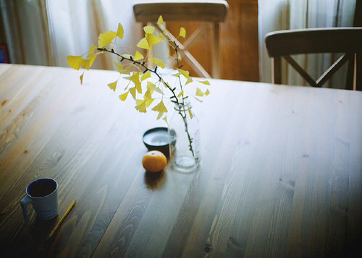 seo的学习经历——小白成长史-JieYingAI捷鹰AI