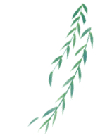 通义千问_问青县公共何时通乡_通腑泄浊方义