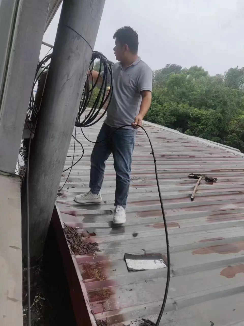 运维网络管理平台官网_网络运维管理平台_运维网络管理平台是什么