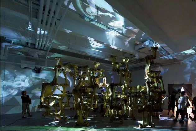 课程考察报告怎么写_课程考察报告格式范文_商业网站运营课程考察方案