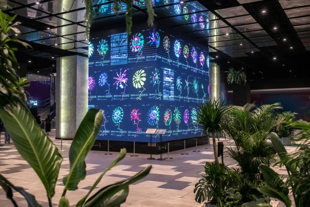 课程考察报告怎么写_课程考察报告格式范文_商业网站运营课程考察方案